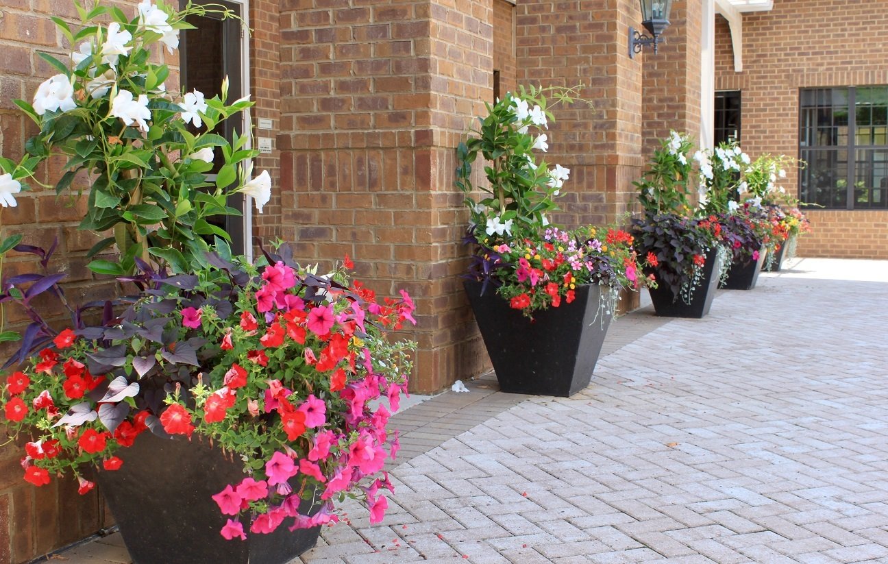Flower pots sales near me